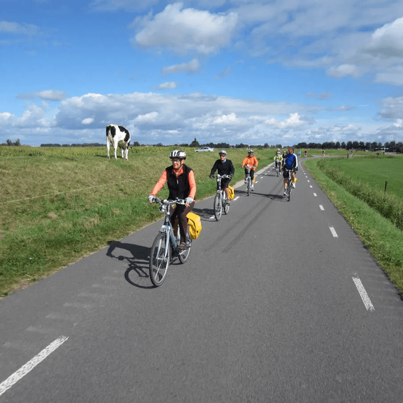 Webdesign Schagen, Webdesign Snel een webdesigner - Boost jouw Online Succes met onze Hulp